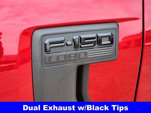 New 2025 Ford F150 STX w/ LOBO Package image 11