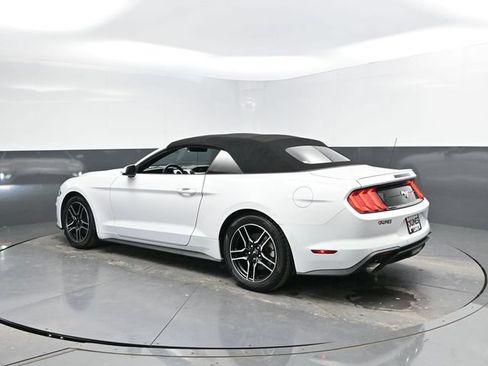 Used 2023 Ford Mustang Premium w/ Equipment Group 201A RWD image 8