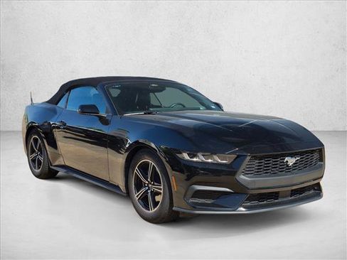 Used 2025 Ford Mustang Premium RWD image 2