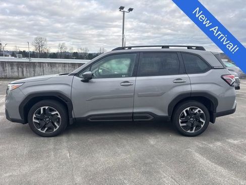 Used 2025 Subaru Forester Limited image 4