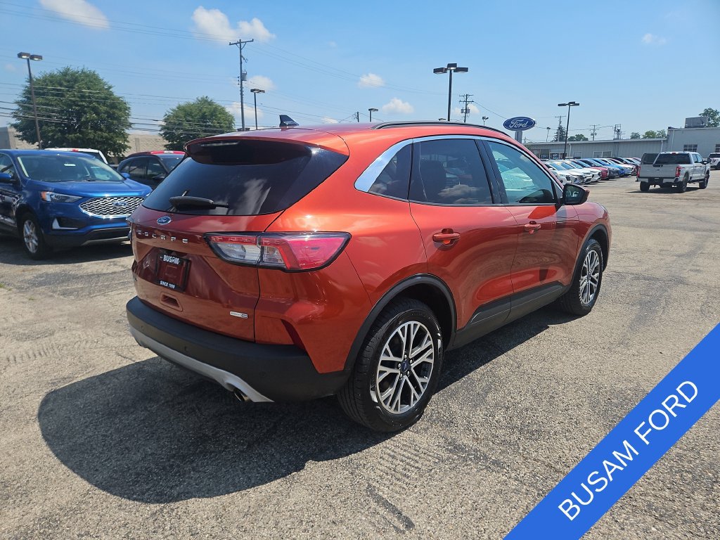 Used 2020 Ford Escape SEL AWD/4WD image 4