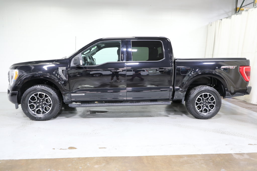 Used 2023 Ford F150 XLT w/ Equipment Group 302A High AWD/4WD image 4