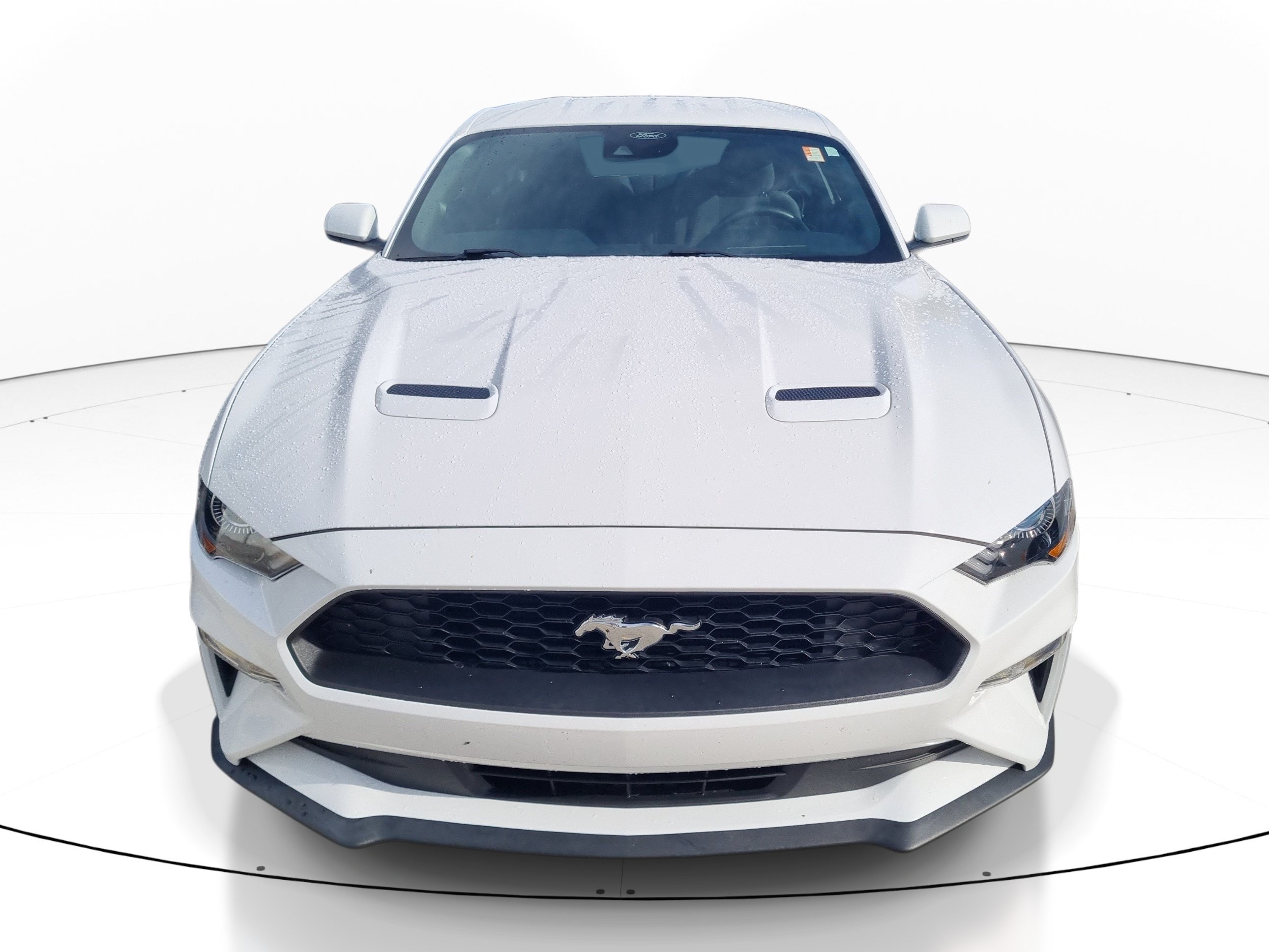 Used 2022 Ford Mustang Coupe w/ Equipment Group 101A RWD image 2