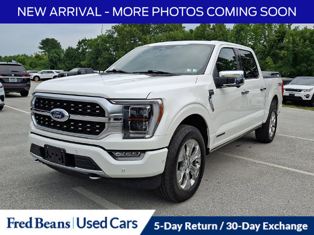 Used 2023 Ford F150 Platinum w/ Equipment Group 701A High AWD/4WD image 5