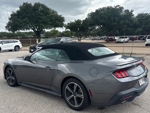 Used 2024 Ford Mustang Premium RWD image 6