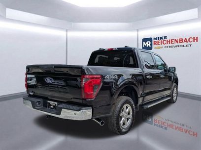 Used 2025 Ford F150 XLT w/ Equipment Group 301A Standard