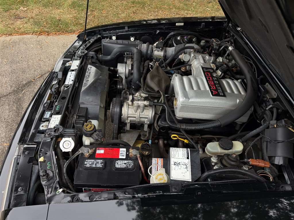 Used 1993 Ford Mustang Cobra RWD image 86