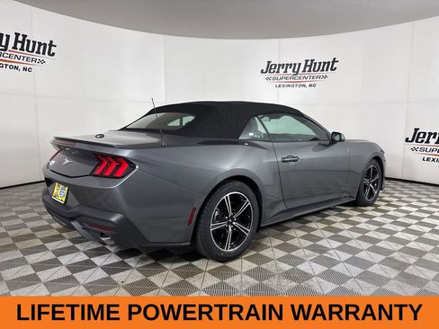 Used 2025 Ford Mustang Premium RWD image 5
