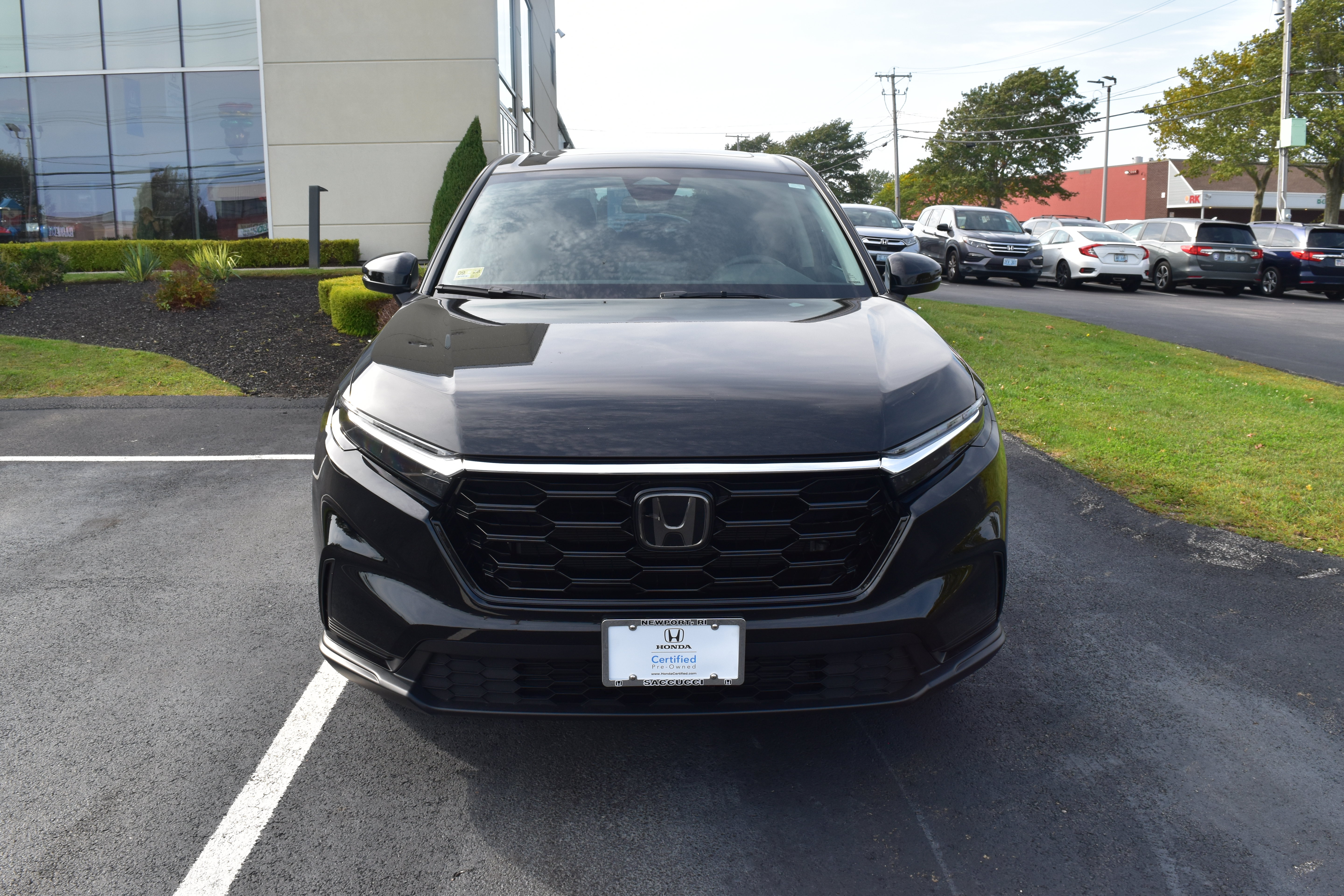 Certified 2026 Honda CR-V EX image 6