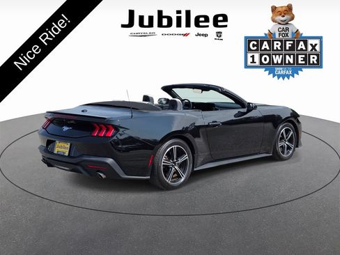 Used 2024 Ford Mustang Premium RWD image 5