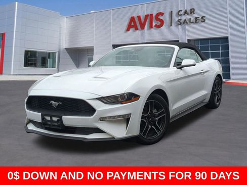 Used 2023 Ford Mustang Premium RWD image 1