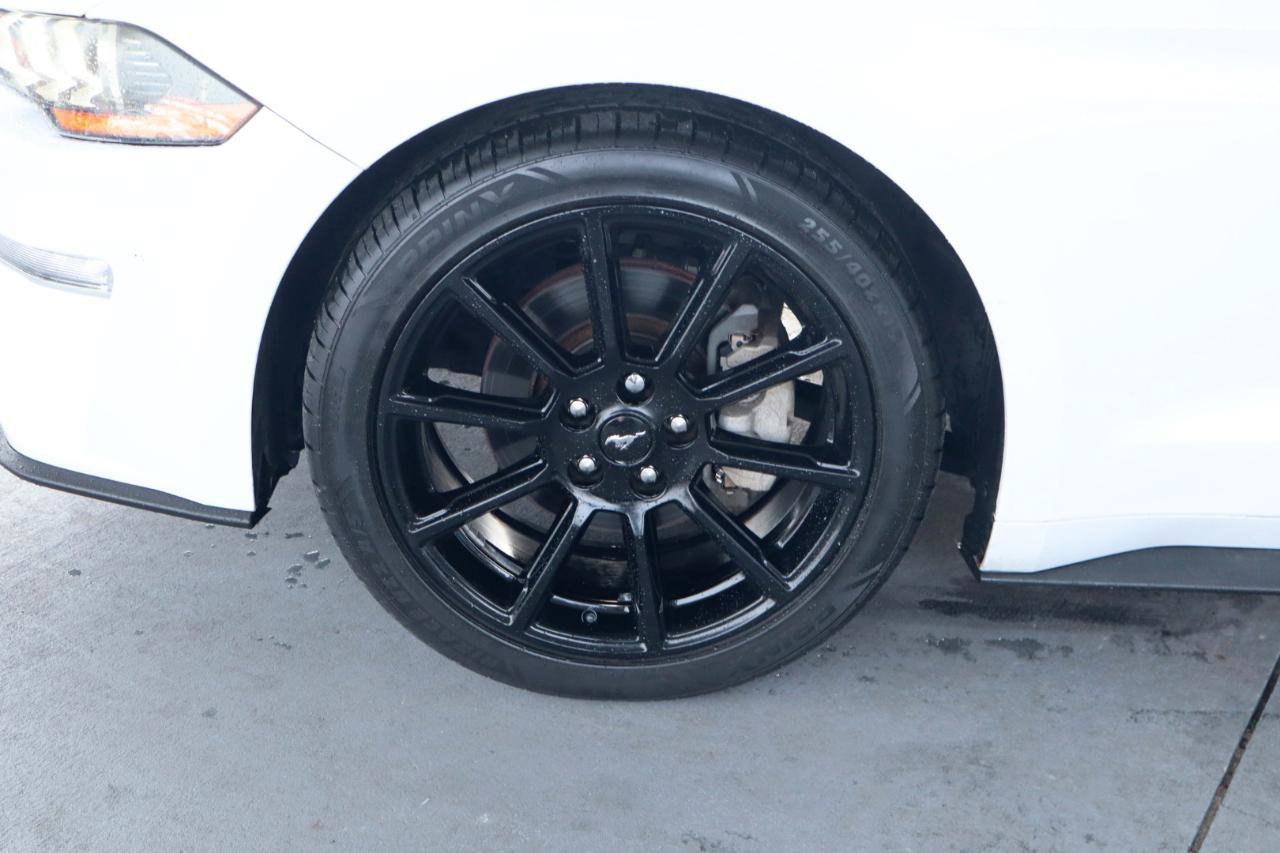 Used 2019 Ford Mustang Coupe RWD image 12