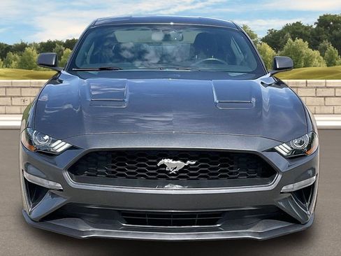 Used 2019 Ford Mustang Coupe w/ Equipment Group 101A RWD image 3