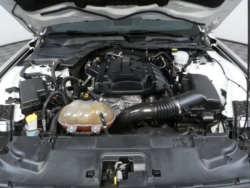 Used 2019 Ford Mustang Coupe image 25