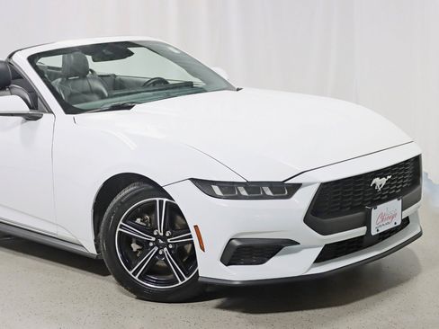 Used 2024 Ford Mustang Premium RWD image 3