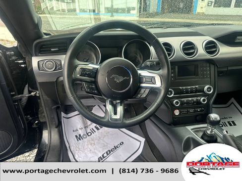 Used 2021 Ford Mustang GT image 15