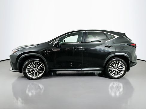 Used 2025 Lexus NX 350h AWD w/ Accessory Package (2T) image 4