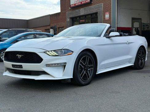 Used 2022 Ford Mustang Premium w/ Equipment Group 201A image 1