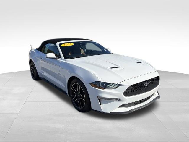 Used 2022 Ford Mustang Premium RWD image 8
