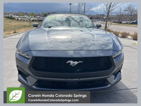 Used 2025 Ford Mustang Premium RWD image 1