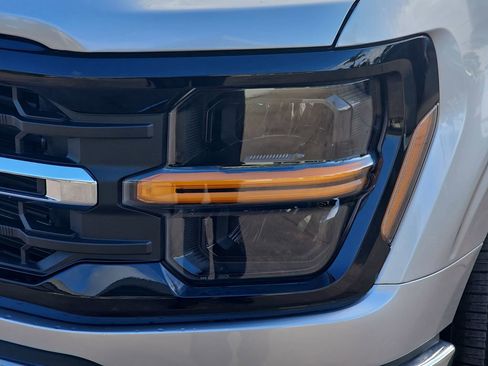 New 2025 Ford F150 XLT w/ Equipment Group 303A High image 34