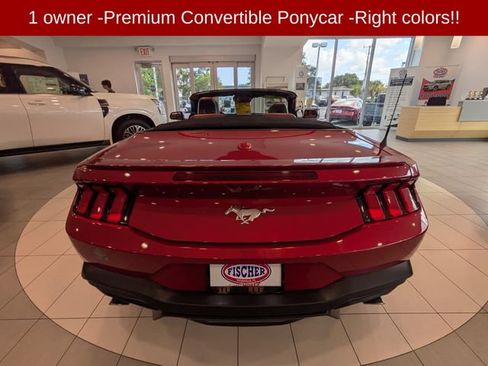 Used 2024 Ford Mustang Premium RWD image 5