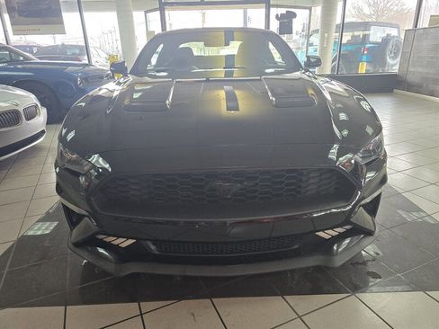 Used 2019 Ford Mustang Coupe w/ Black Accent Package image 2