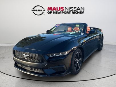 Used 2024 Ford Mustang Premium