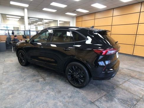 Used 2025 Ford Escape ST-Line Elite w/ Premium Technology Package image 5