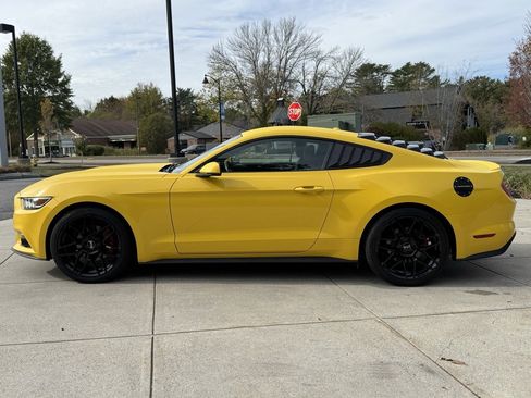 Used 2015 Ford Mustang Premium image 13