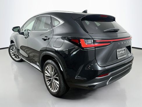 Certified 2025 Lexus NX 350h AWD w/ Accessory Package (2T) image 5