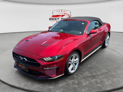 Used 2019 Ford Mustang Premium w/ Equipment Group 201A RWD image 1