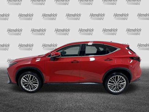 Used 2025 Lexus NX 350h AWD w/ Cold Area Package image 7