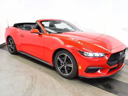 Used 2024 Ford Mustang Premium