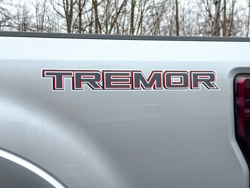 Certified 2022 Ford F350 Platinum w/ Tremor Off-Road Package image 9