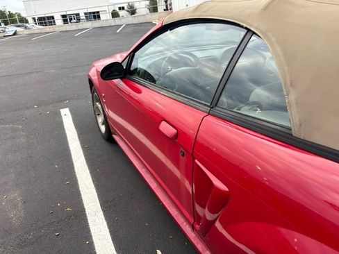 Used 1999 Ford Mustang Cobra RWD image 9