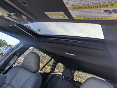 Used 2024 Subaru Outback Wilderness image 20