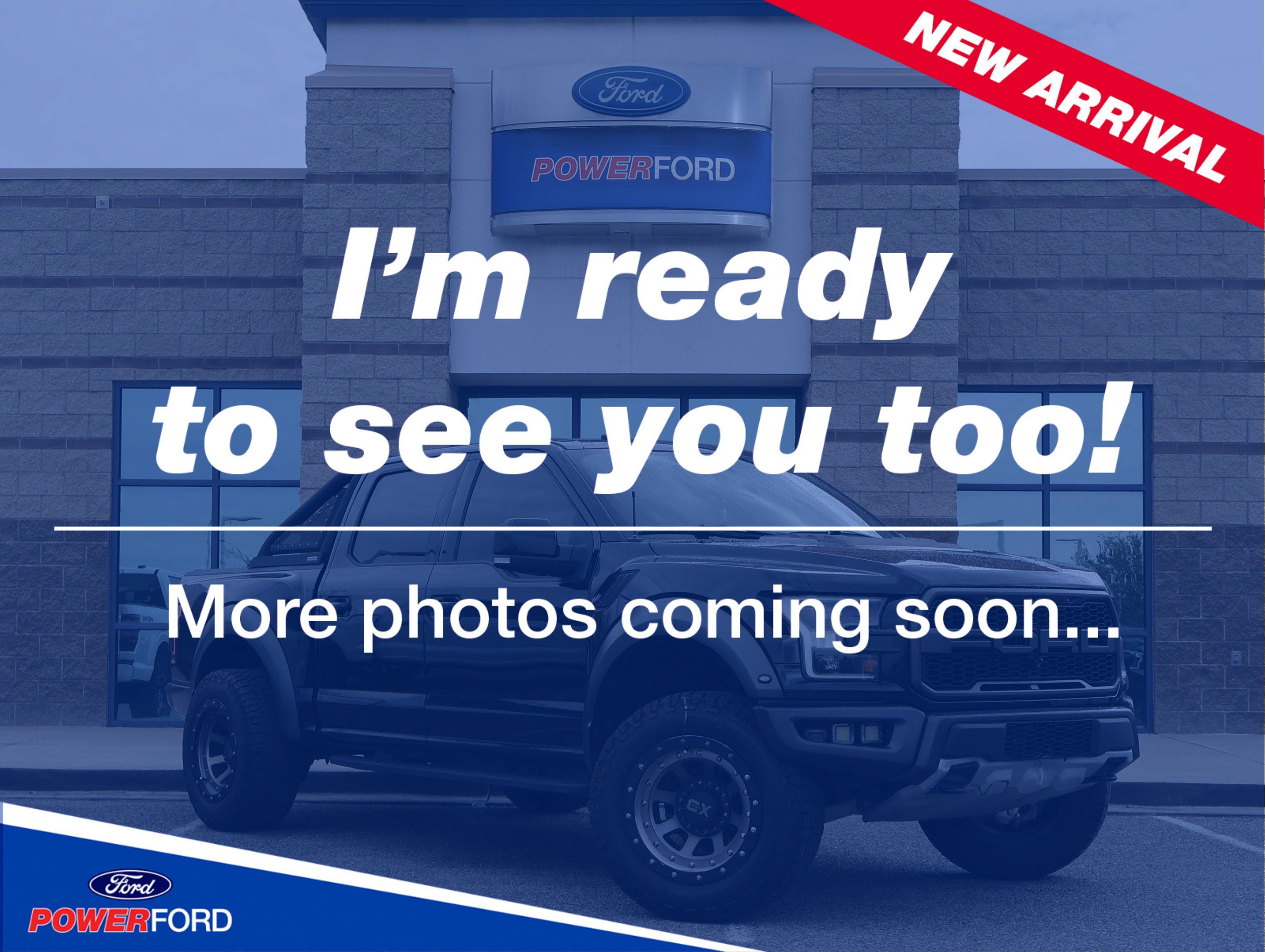 Used 2019 Ford F150 Raptor w/ Equipment Group 802A Luxury AWD/4WD image 1