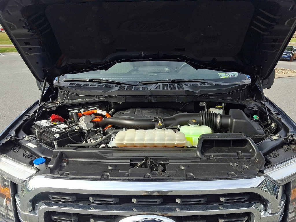 Used 2022 Ford F150 XLT w/ Equipment Group 302A High AWD/4WD image 28