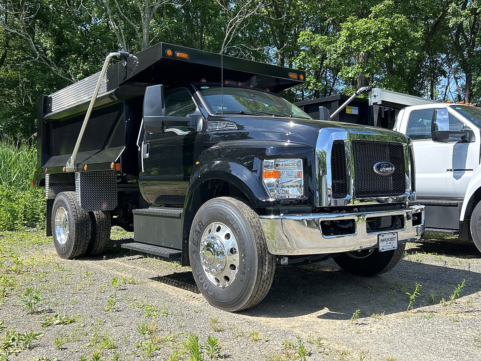 New 2025 Ford F650 2WD Regular Cab Super Duty image 3