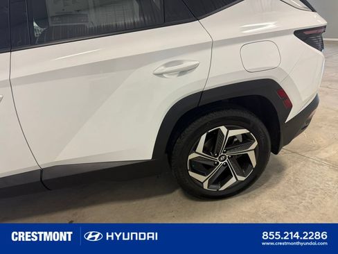 Used 2023 Hyundai Tucson Limited AWD/4WD image 8