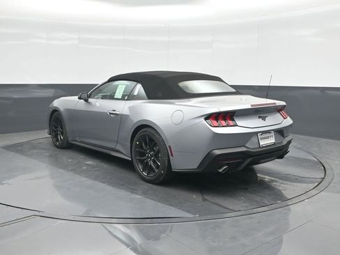New 2026 Ford Mustang Premium w/ Mustang Nite Pony Package image 20