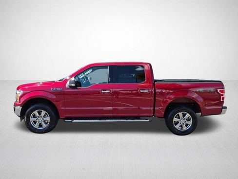 Used 2019 Ford F150 XLT w/ Equipment Group 302A Luxury AWD/4WD image 7