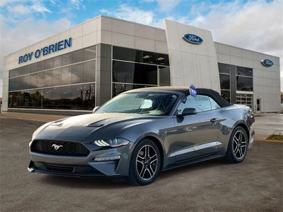 Certified 2022 Ford Mustang Premium