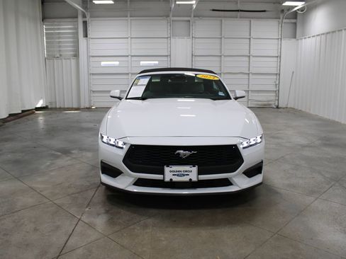 Used 2024 Ford Mustang Premium image 4