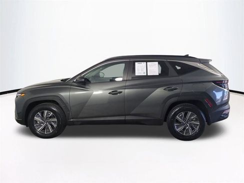 Used 2023 Hyundai Tucson Blue image 8