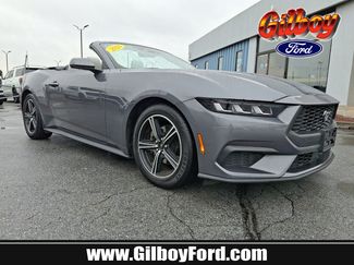 Used 2024 Ford Mustang Premium RWD video 1