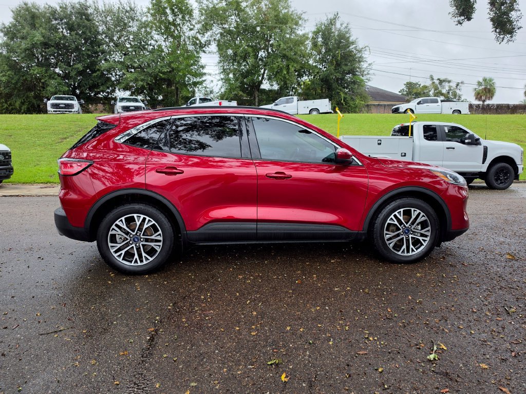 Used 2020 Ford Escape SEL FWD image 5