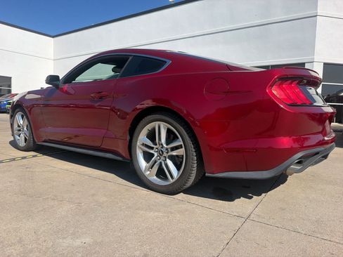 Used 2019 Ford Mustang Premium w/ Equipment Group 201A RWD image 4