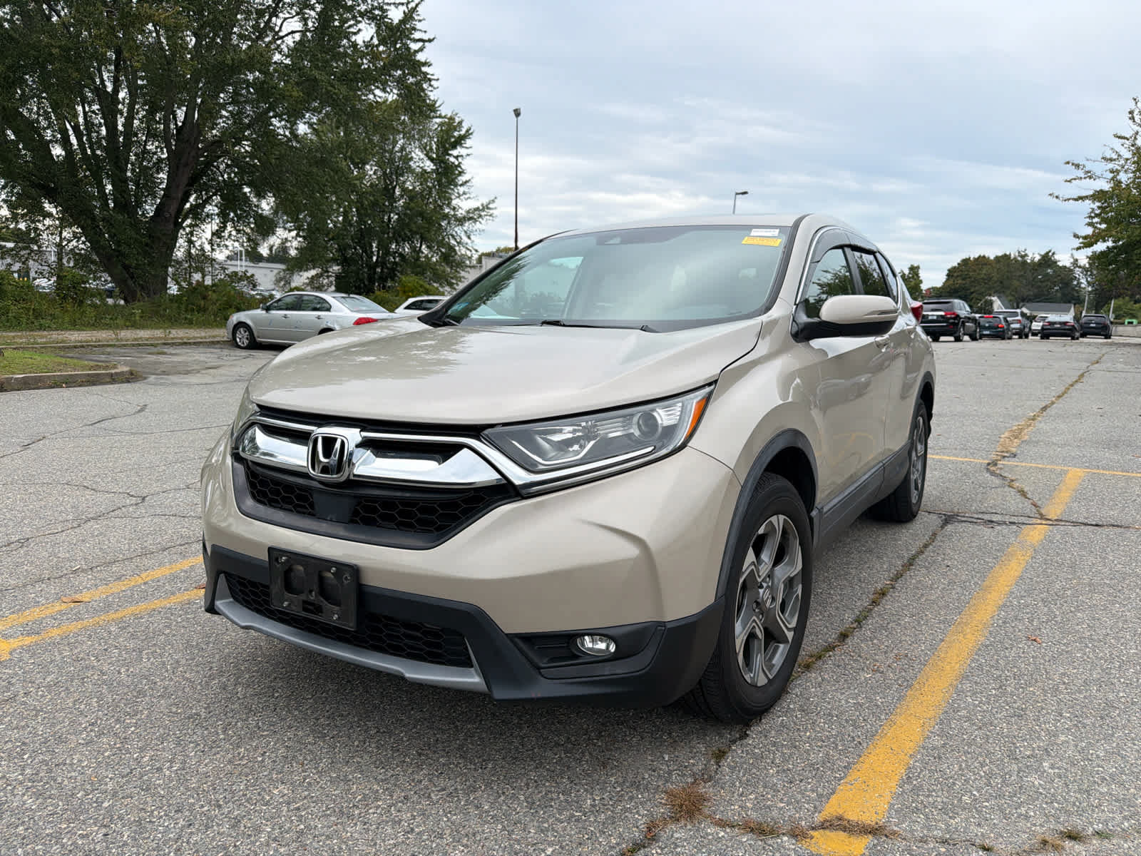 Used 2019 Honda CR-V EX image 7